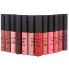 2018 classic value sexy makeup long-lasting matte liquid lipstick and FM63 makeup waterproof matte liquid lip gloss cosmeticarena