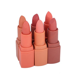 Miss Rose Matte Lipstick Waterproof Lip Makeup Korean Cosmetics Long Lasting Nude Lip Stick Pigment rouge a levre maquillage cosmeticarena